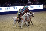 Quadrille - 00290